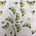 2019 California Butterfly Stamps