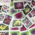2021 Garden Beauty Forever Stamps