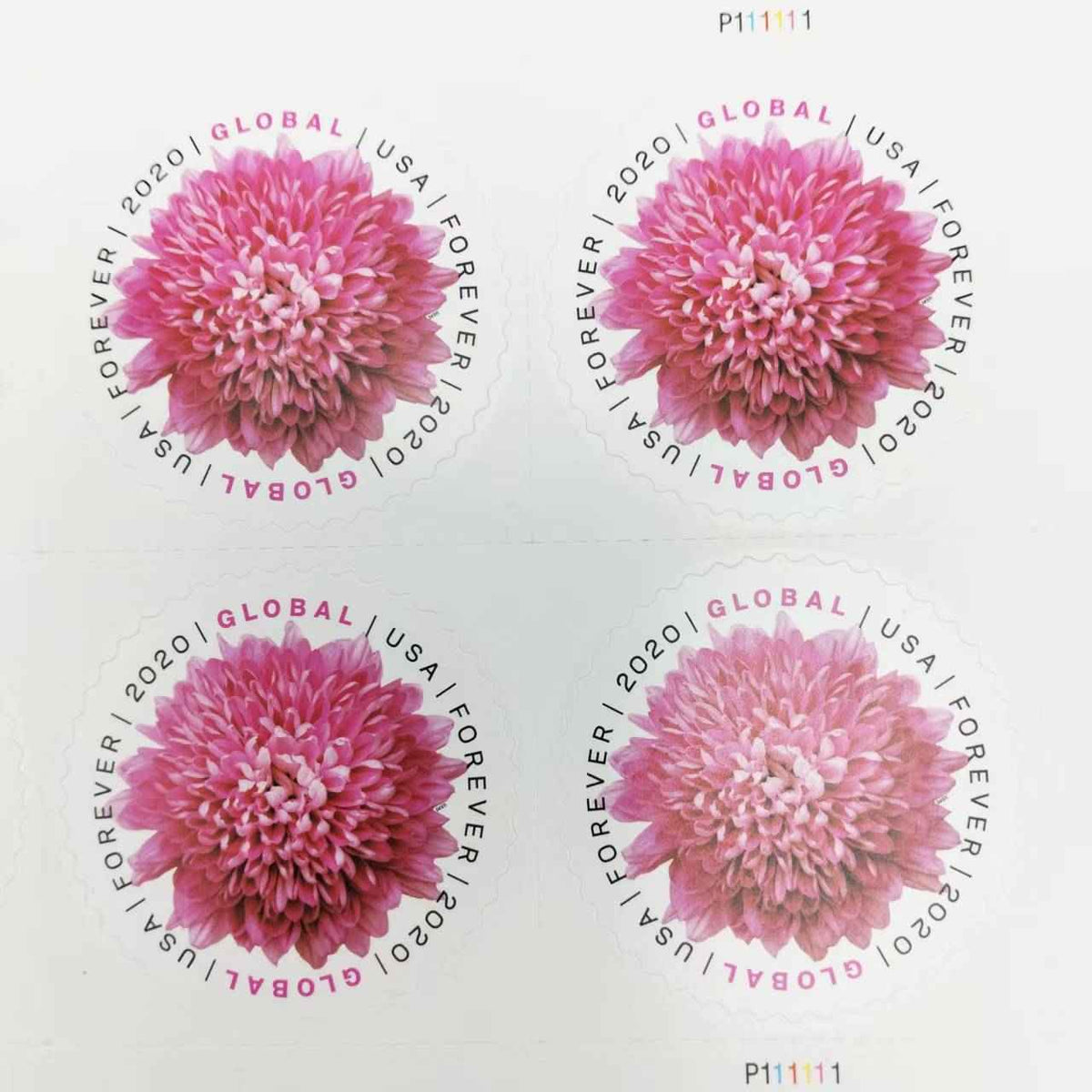 Global Chrysanthemum Stamps International 2020 (50pcs)
